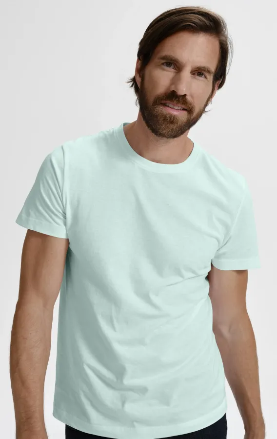 Das einfache T-Shirt der Männer, eisgrün Das einfache T-Shirt der Männer, eisgrün