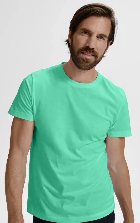 Das einfache T-Shirt der Männer, Minze Das einfache T-Shirt der Männer, Minze